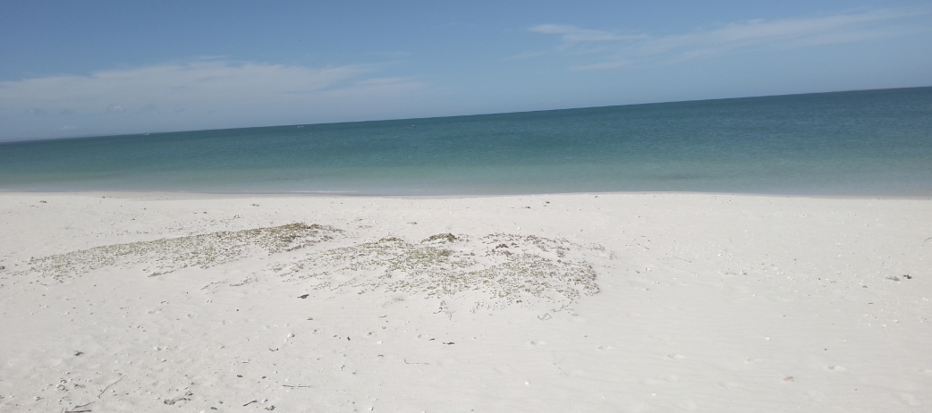 Playa La Salina Vista 2
